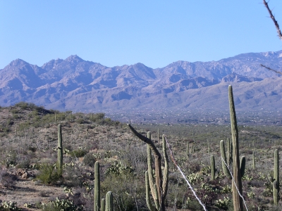 [Saguaro cactuses in foreground and mountains in distance.]